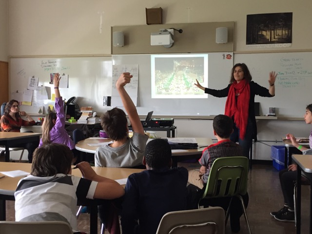 formação manitoba2