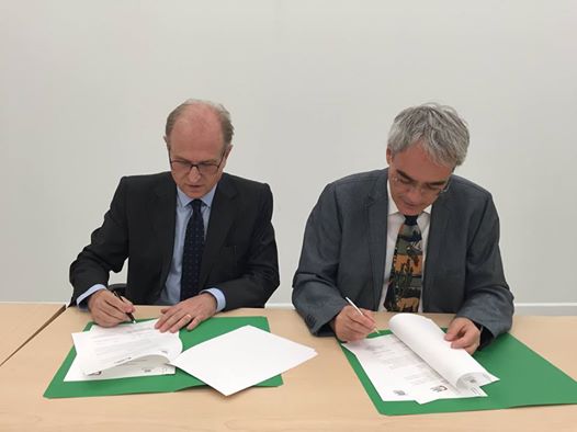 19059136 819393561568646 790843989252795833 n